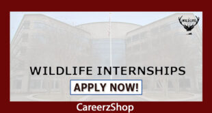 Wildlife Internship