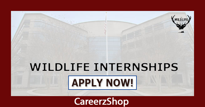 Wildlife Internship Wildlife Internship
